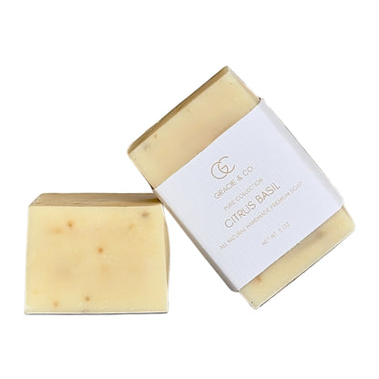 Chunky Soap On A Rope - Oats & Honey