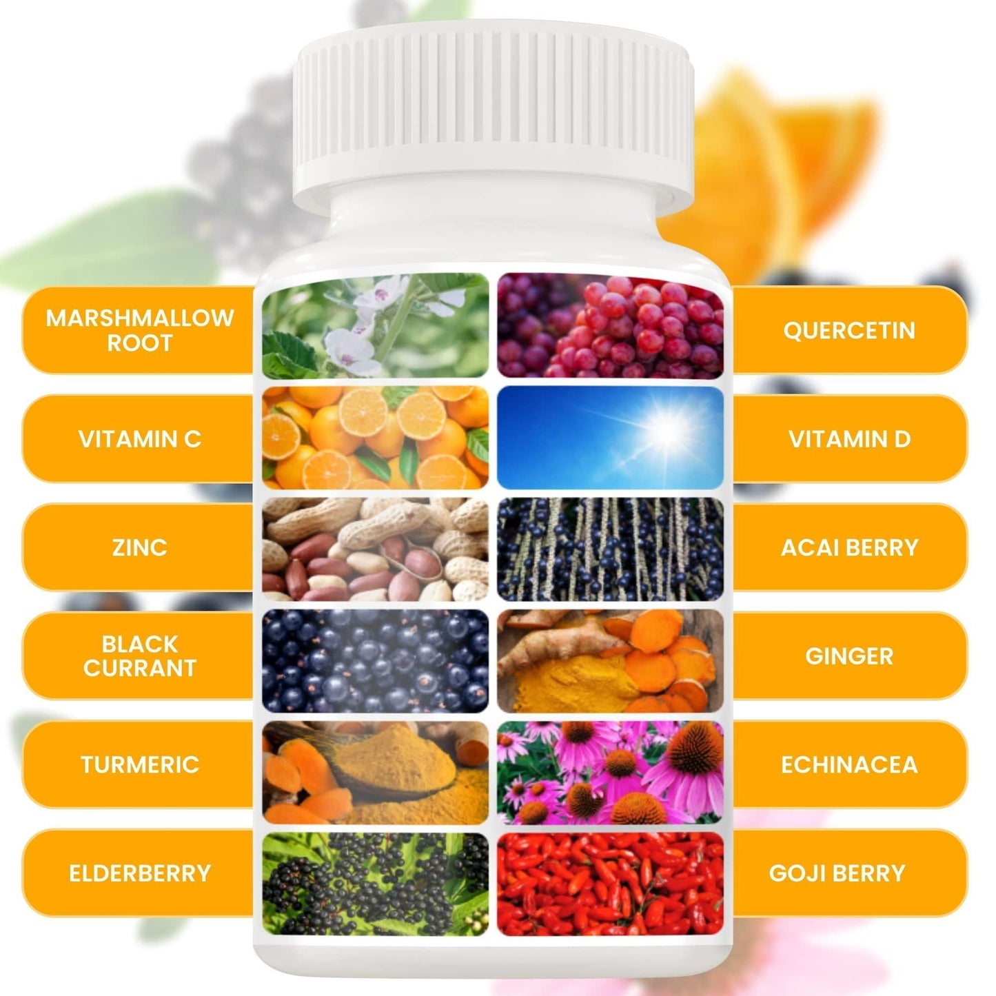 12-in-1 Immune Support Capsules